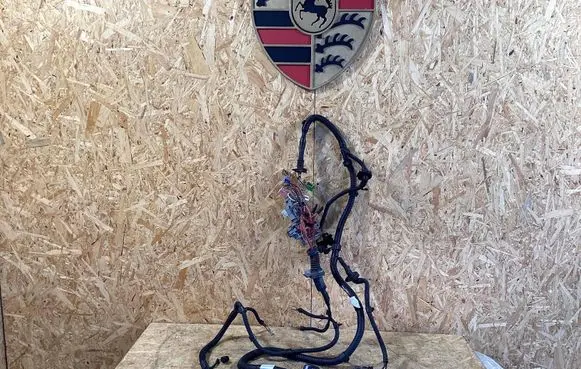 Porsche Cayenne (9Y0 9Y3) Front door wiring loom/harness boot 95861201902 7p5971072ap