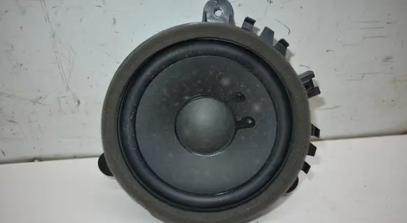 Rear door speaker