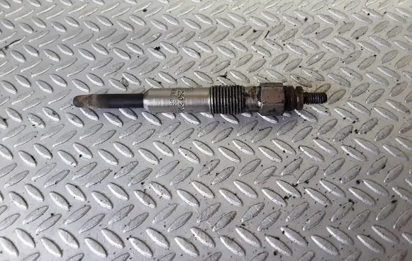 Renault Scenic I Glow plug 0250202025