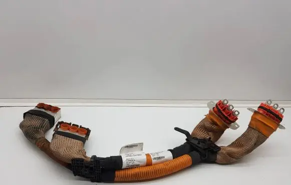Other wiring loom