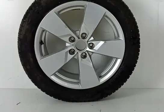 Audi TT TTS RS Mk3 8S R17 alloy rim 8S0607025