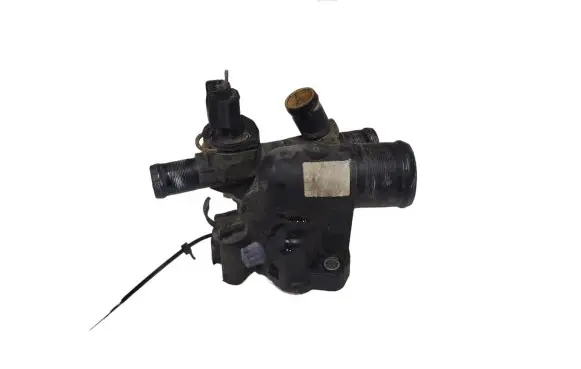 Thermostat/thermostat housing