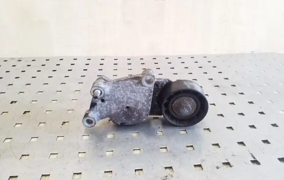 Ford Focus Generator/alternator belt tensioner 419484