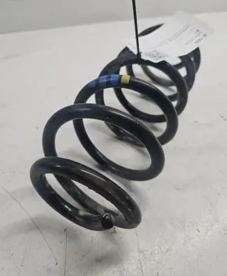 Rear coil spring