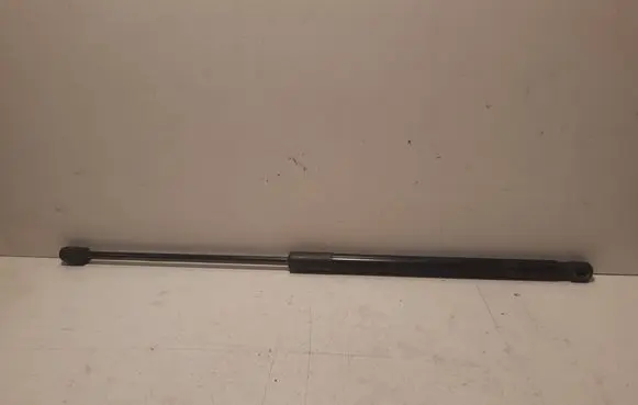 Tailgate/trunk strut/damper