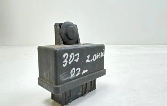 Peugeot 307 Fuel injection pump control unit/module 240107