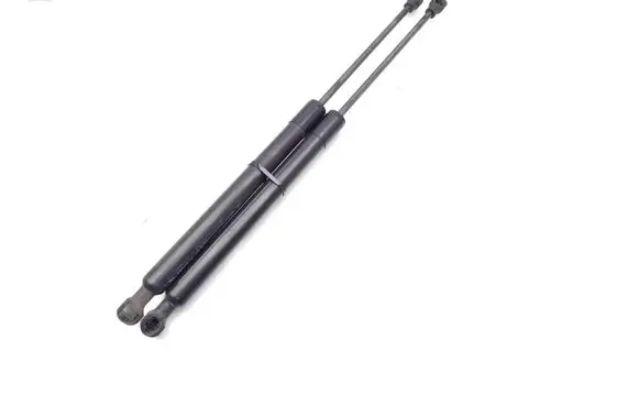 Renault Zoe Tailgate/trunk strut/damper