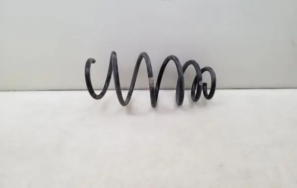 Front coil spring