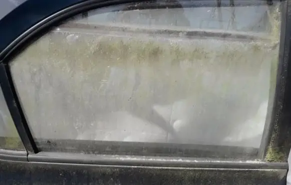 Hyundai Lantra II Rear door window glass