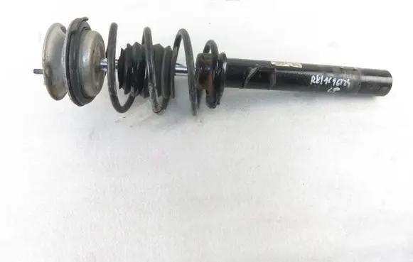 Front shock absorber with coil spring