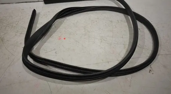 Ford Focus Front door rubber seal 
