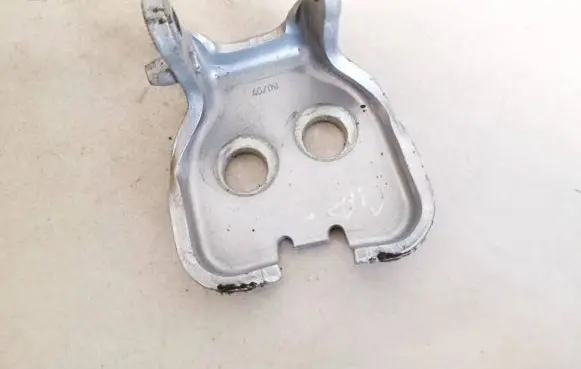 Peugeot 5008 Rear door lower hinge