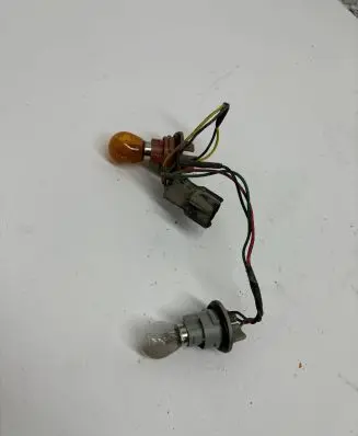 Tail light bulb cover holder