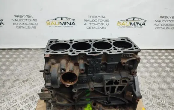 Seat Exeo (3R) Engine block CJC113512 CJC