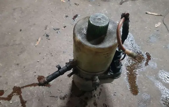 Electric power steering pump