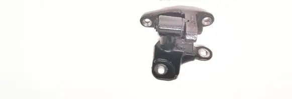 Mercedes-Benz B W245 Rear door lower hinge 8046532
