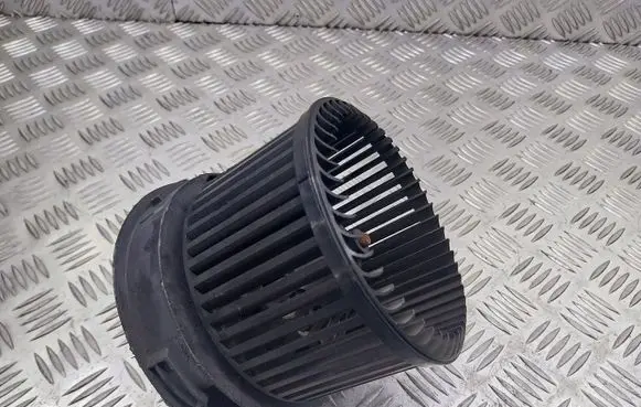 Peugeot 207 Front door blower motor N102097A