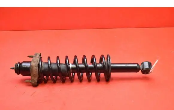 Mitsubishi Outlander Rear shock absorber/damper 341361