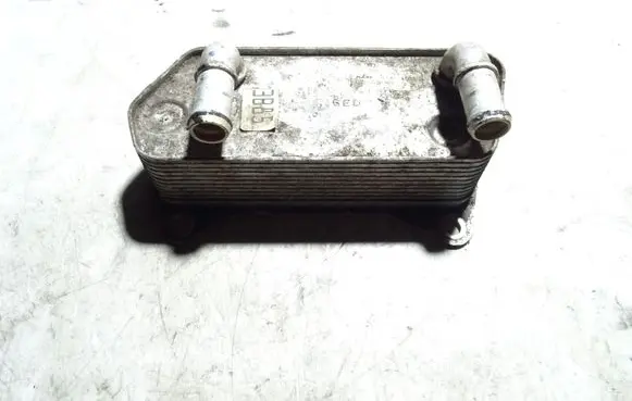 Volkswagen PASSAT B7 Engine oil radiator 02E409061B