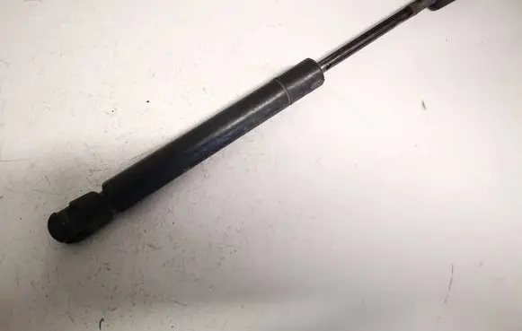 Tailgate/trunk strut/damper