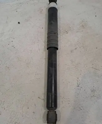 Renault Zoe Rear shock absorber/damper 562108289R