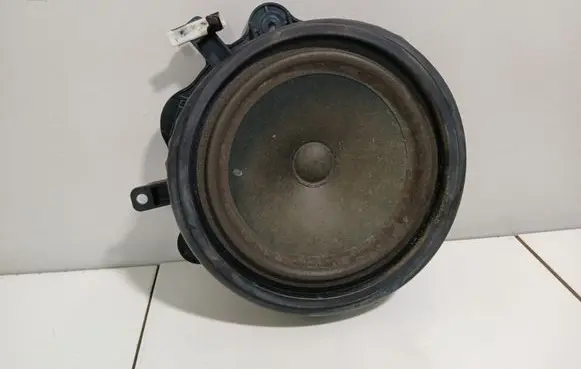 Front door speaker