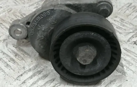 Citroen DS4 Generator/alternator belt tensioner 9801875280