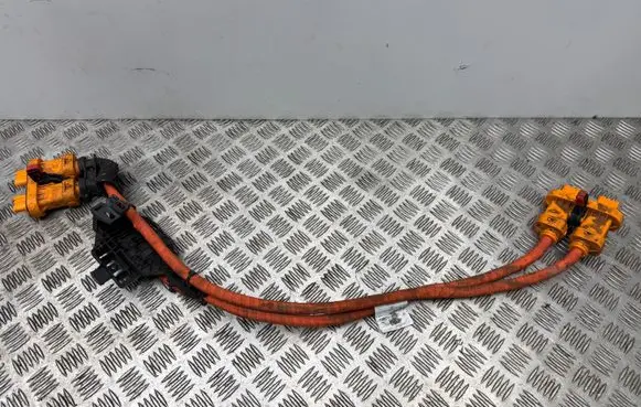 Audi Q4 e-tron Other wiring loom 1EA971015AK