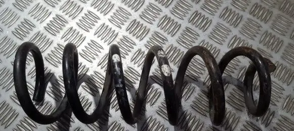 Peugeot 406 Rear coil spring