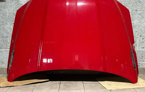Engine bonnet/hood