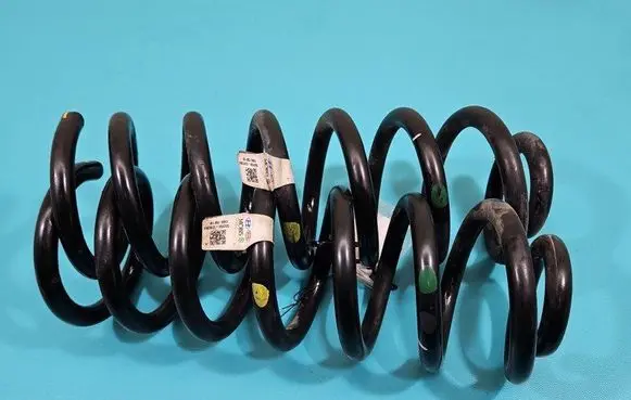 Rear coil spring