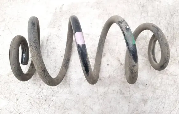Renault Koleos I Rear coil spring 