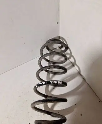 Rear coil spring