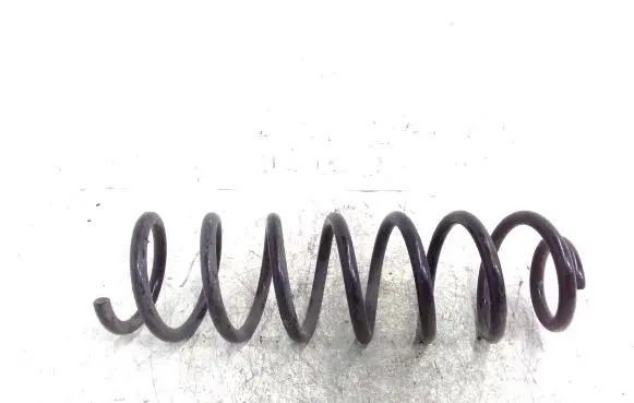 Renault Megane II Rear coil spring