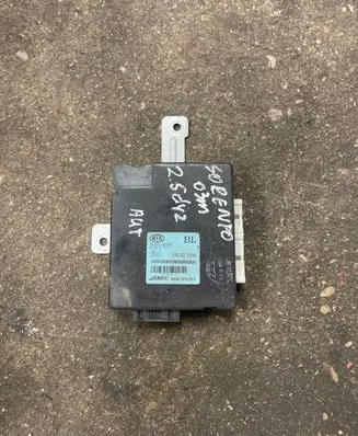 KIA Sorento Other control units/modules 954003E310
