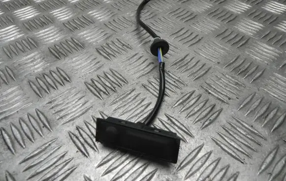 Nissan Leaf II (ZE1) Tailgate opening switch 9X10K2 L156