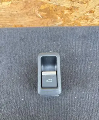 Audi Q4 e-tron Other switches/knobs/shifts 8Y0959829 4K0959831