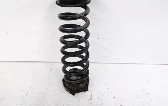 Rear coil spring