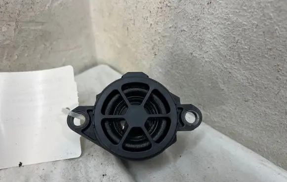 Nissan Qashqai J12 Panel speaker 248326RA0A