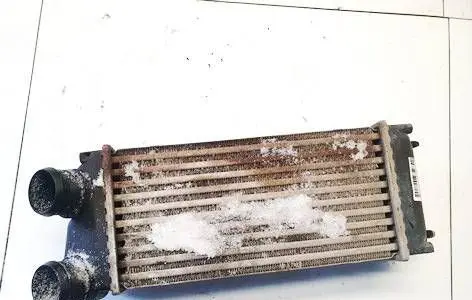 Peugeot 307 Intercooler radiator 9648551880 876923JE