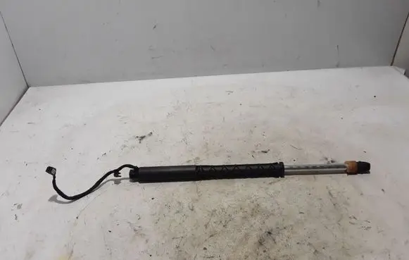 Tailgate strut