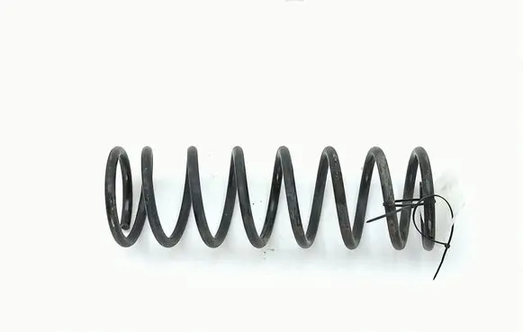Ford Focus Rear coil spring
