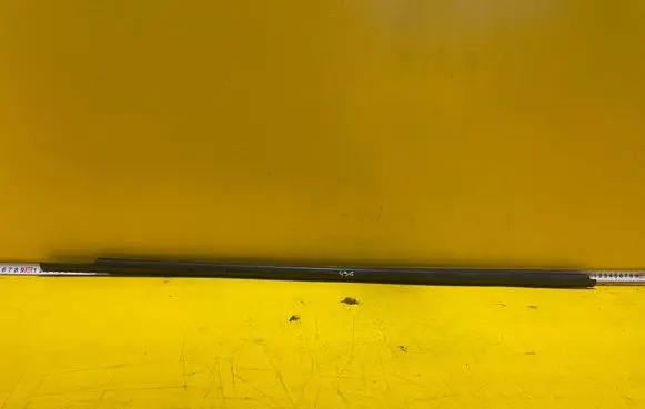 Nissan Note (E11) Front door trim (molding) 