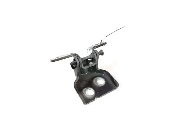Dacia Sandero III Front door lower hinge 