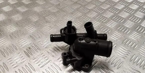 Thermostat/thermostat housing