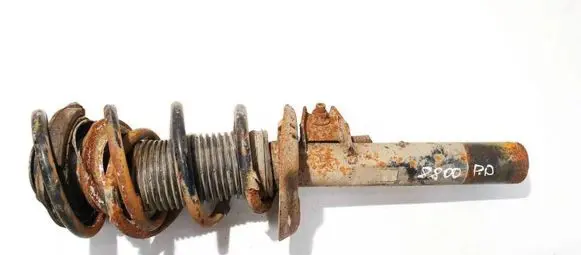 Volkswagen Golf V Front shock absorber/damper 1k0413031bf