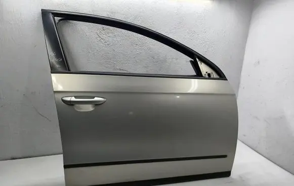 Volkswagen PASSAT B6 Front door 
