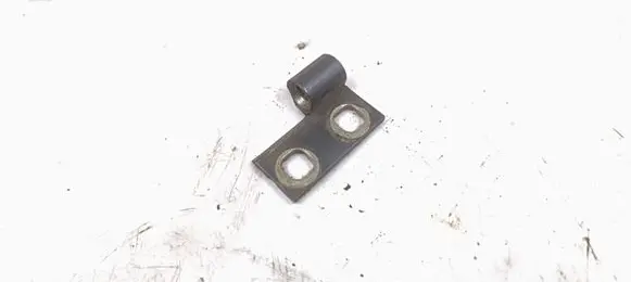 BMW 3 E46 Rear door lower hinge 