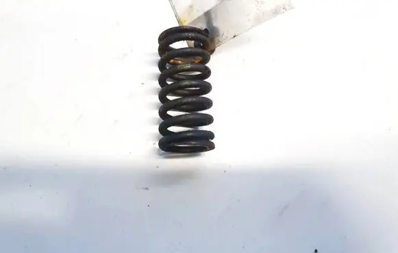 Peugeot 407 Valve spring 