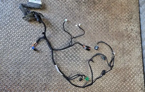 Dodge Charger Front door wiring loom 68454477AC P68454477AC